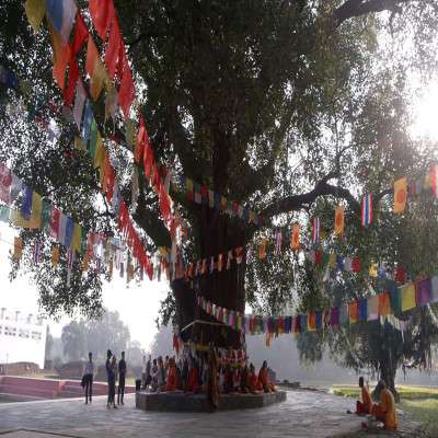 Lumbini Festival Tours